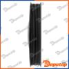 Poulie damper vilebrequin pour OPEL | RKP-PL-008, 6PK1050D1